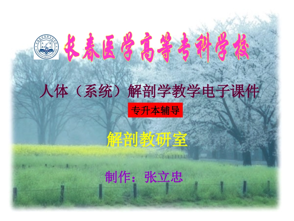 躯干骨和四肢骨_第1页