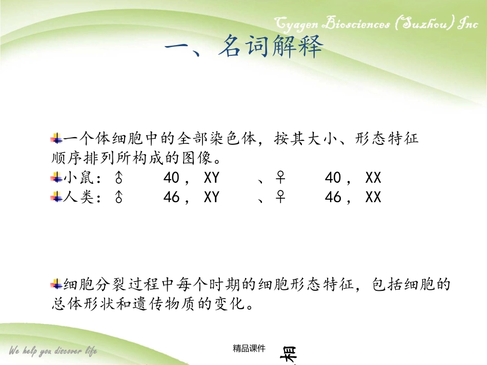 染色体核型分析_第3页