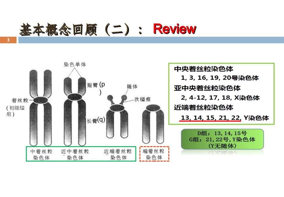 染色体数目畸变一_第3页