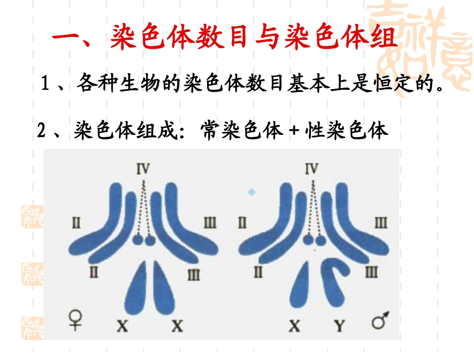 染色体数目结构变异_第2页