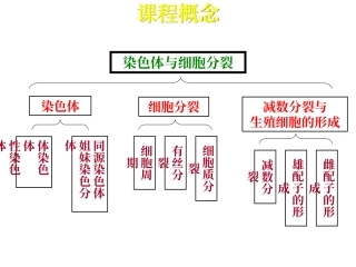 染色体与细胞分裂