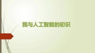 人工智能智慧公安解决方案