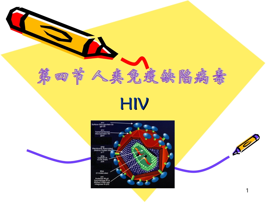 人类免疫缺陷病毒课件_第1页