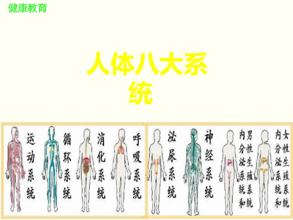 人体八大系统_第2页