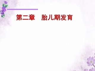 人体发育胎儿期发育
