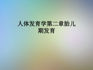 人体发育学第二章胎儿期发育