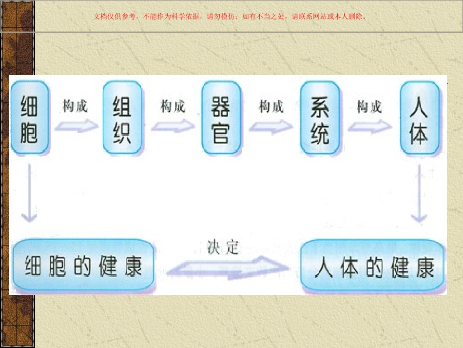 人体解剖生理课件_第2页