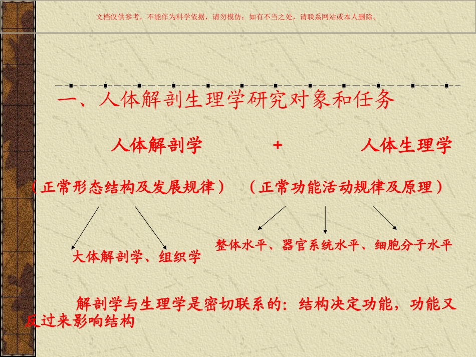 人体解剖生理课件_第3页