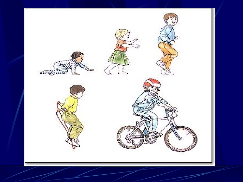 人体解剖生理学_第2页