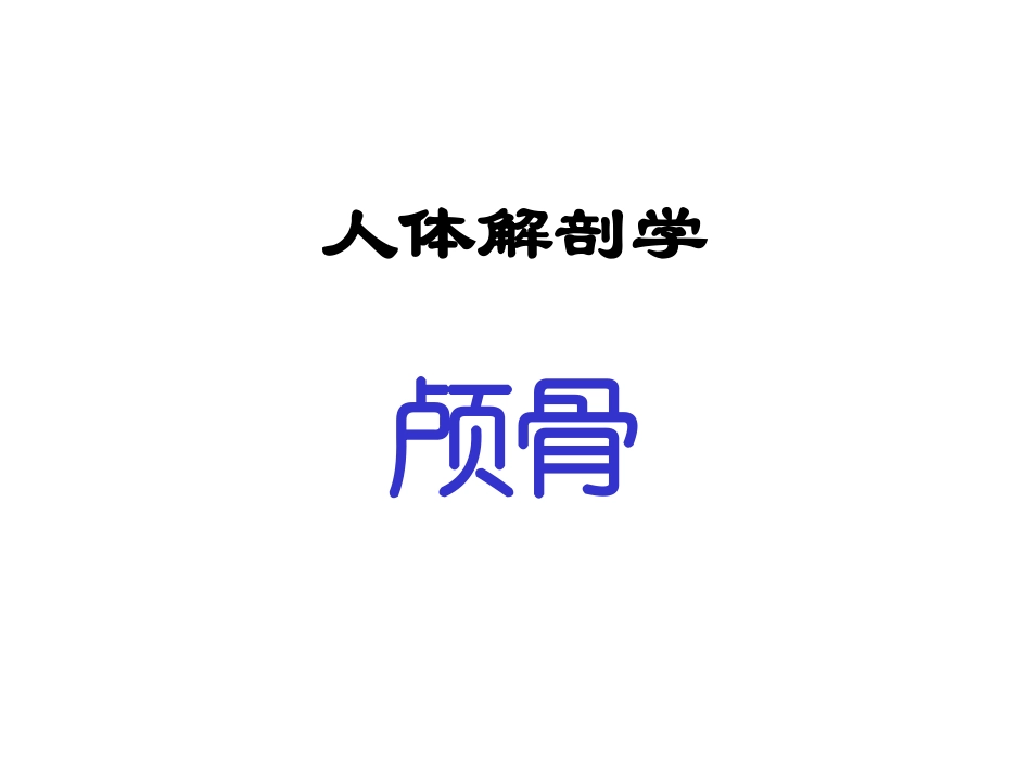 人体解剖学颅骨_第1页