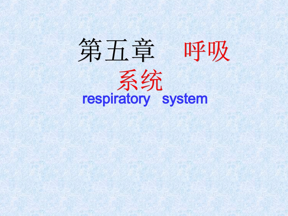 人体解剖学之呼吸系统_第1页
