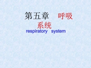 人体解剖学之呼吸系统