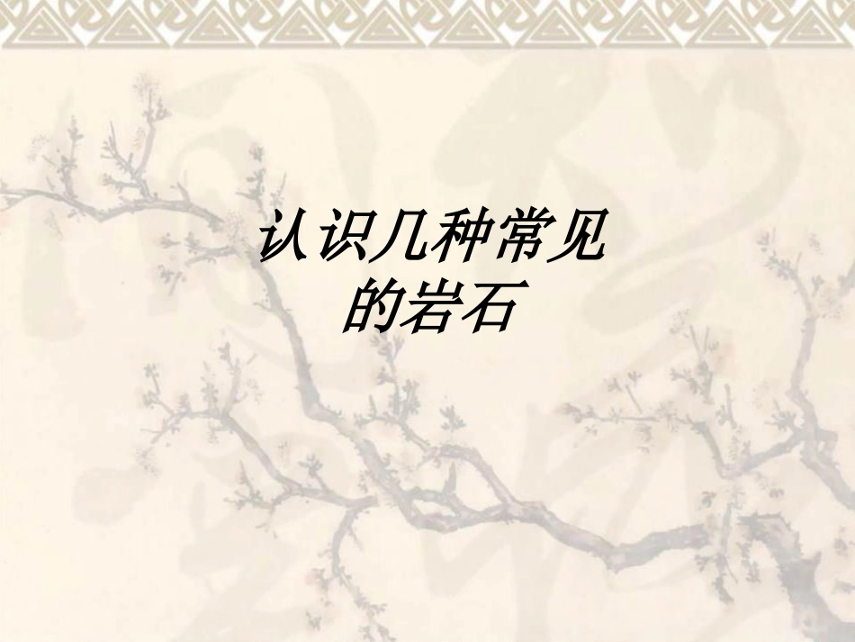 认识几种常见的岩石教育课件_第1页