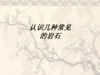 认识几种常见的岩石教育课件