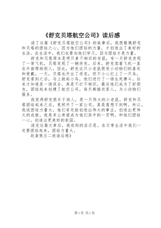 舒克贝塔航空公司读后感