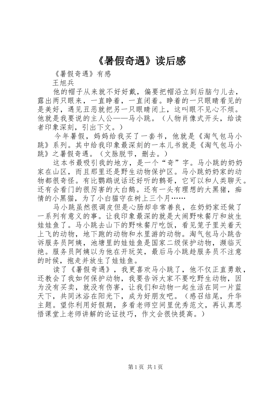 暑假奇遇读后感_第1页