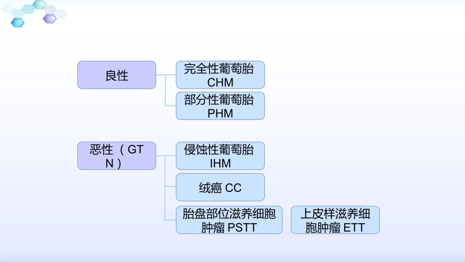 妊娠滋养细胞疾病培训课件_第3页