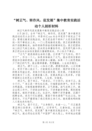 树正气转作风促发展集中教育实践活动个人剖析材料