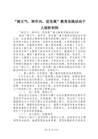 树正气转作风促发展教育实践活动个人剖析材料