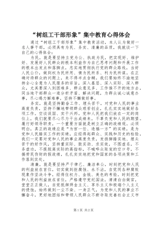 树组工干部形象集中教育心得体会