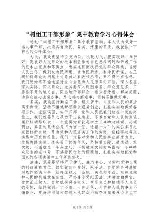 树组工干部形象集中教育学习心得体会