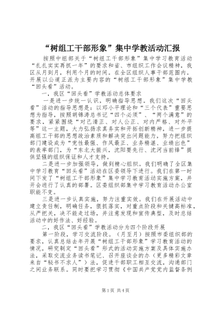 树组工干部形象集中学教活动汇报