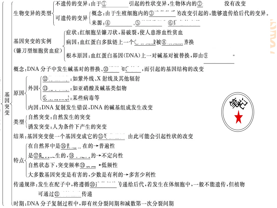 三种可遗传变异_第3页