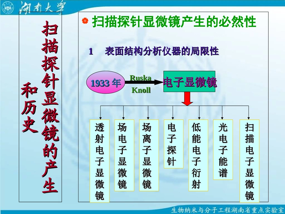 扫描探针显微镜技术及其应用_第2页