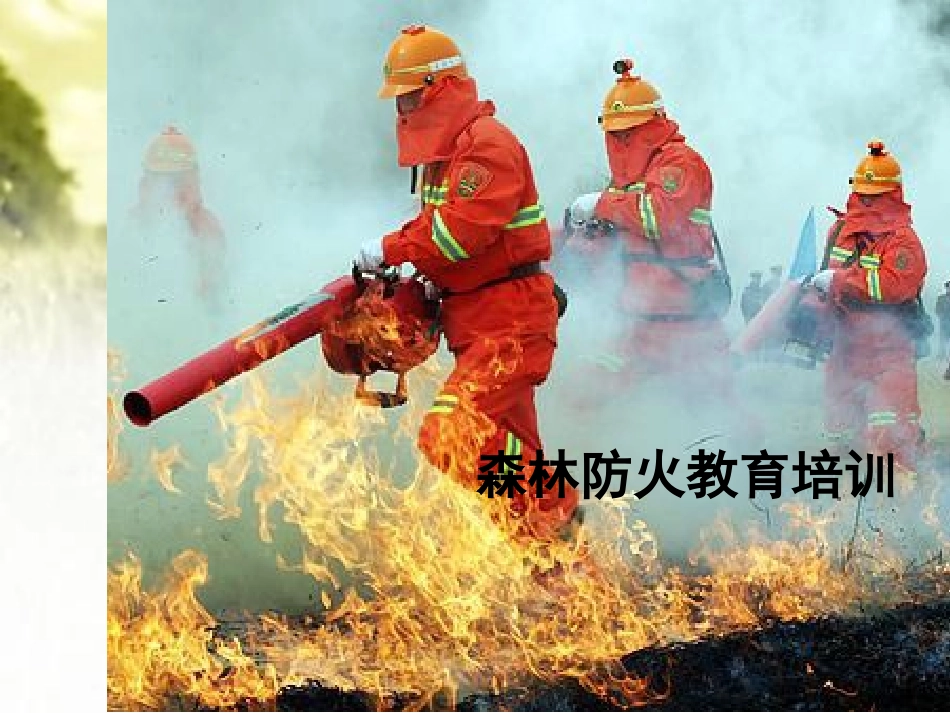 森林防火培训_第2页