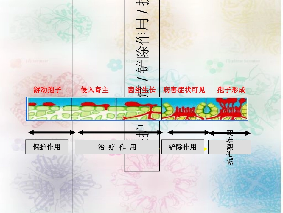 杀菌剂的作用方式_第3页