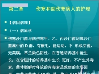 伤寒和副伤寒病人的护理