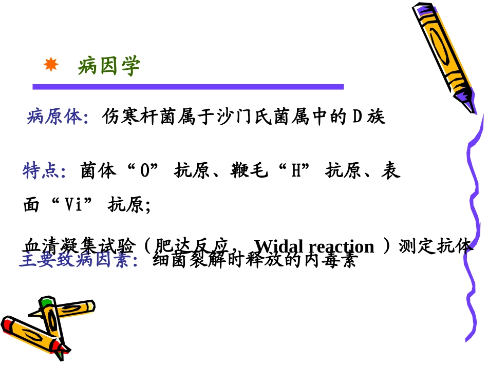 伤寒细菌性痢疾_第2页