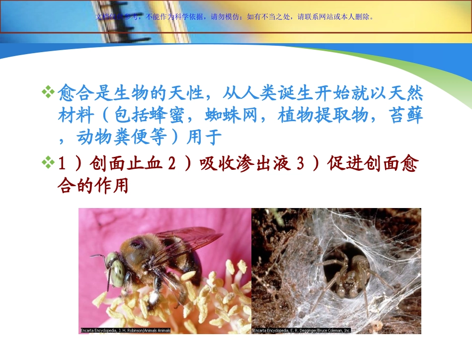 伤口敷料的应用课件_第2页