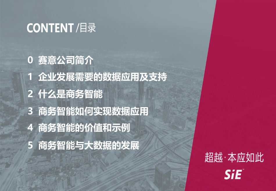 商务智能在企业中的应用_第3页