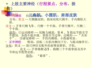 上下肢神经课件