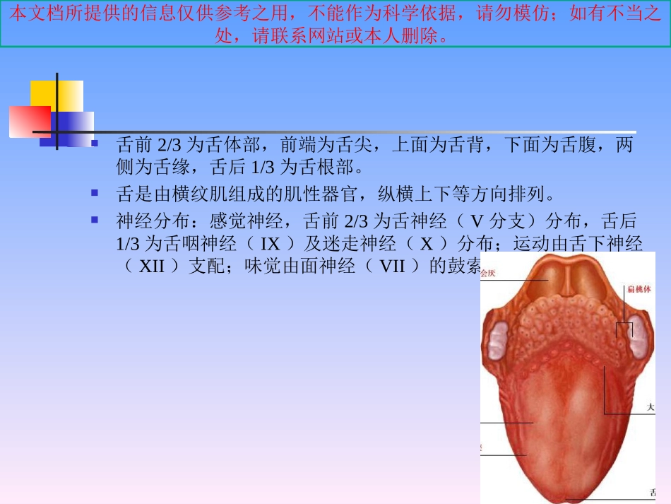 舌口底解剖和病变培训课件_第1页