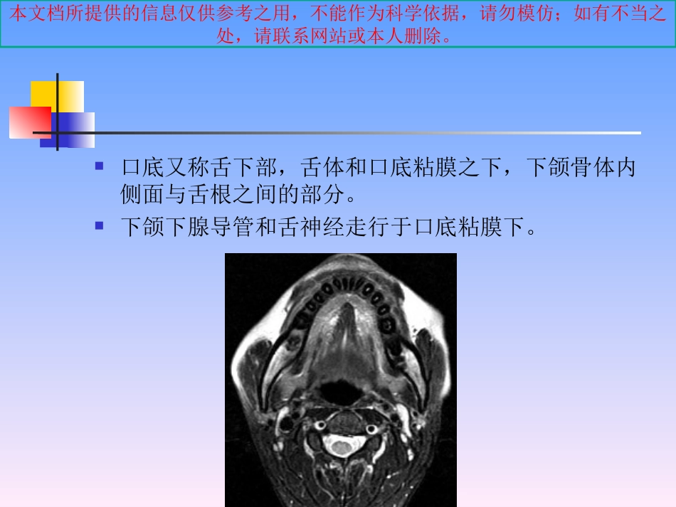 舌口底解剖和病变培训课件_第2页