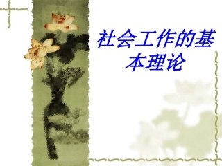社会工作的基本理论专题培训课件