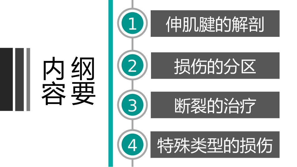 伸肌腱的损伤_第3页