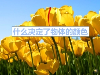 什么决定了物体的颜色