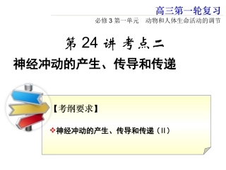 神经冲动的产生传导和传递