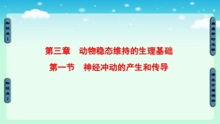 神经冲动的产生和传导