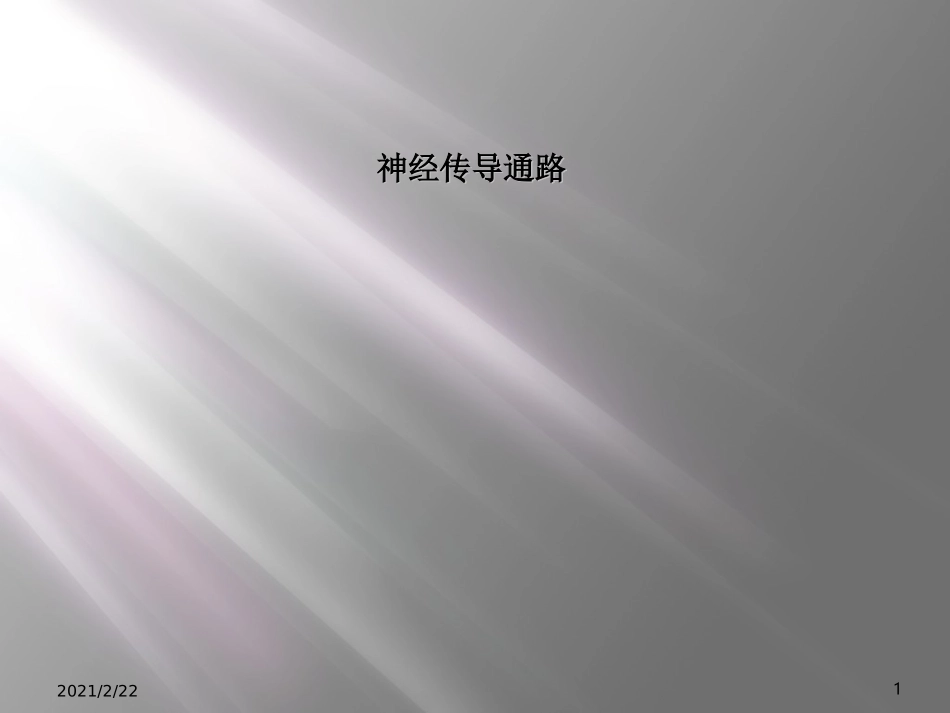 神经传导通路_第1页