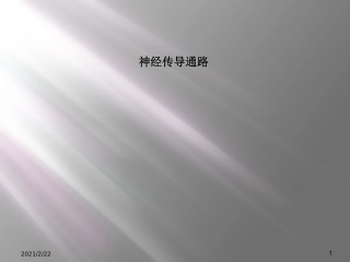 神经传导通路