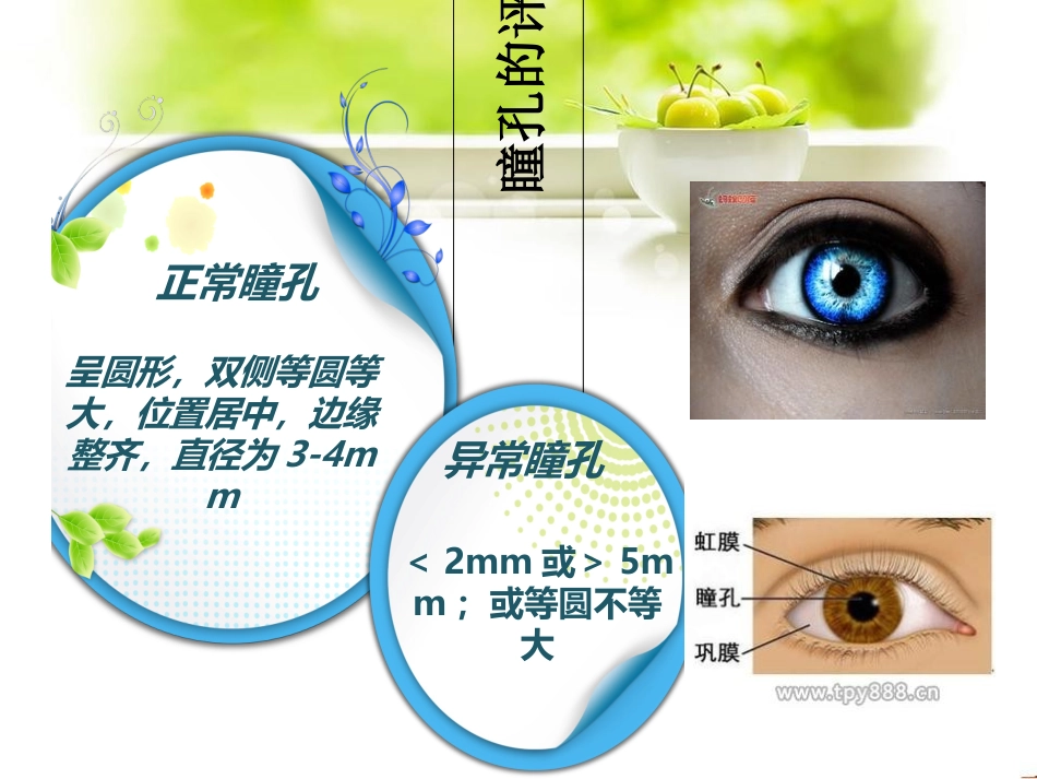 神经功能评估_第3页