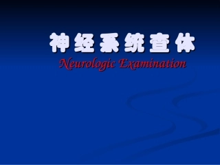 神经系统查体课件