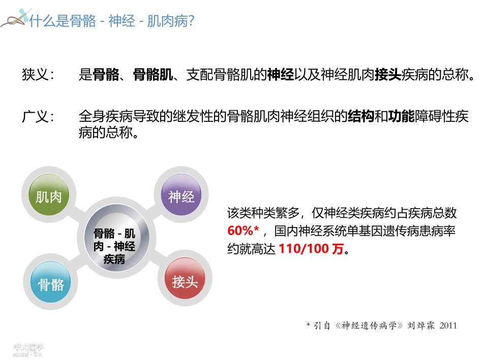 神经系统单基因遗传病基因检测_第3页