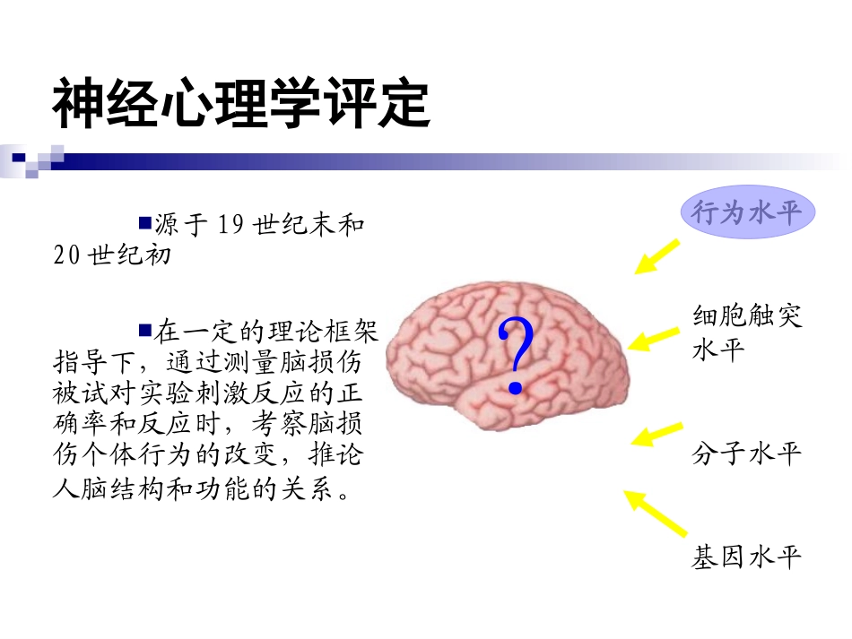 神经心理学测验_第2页