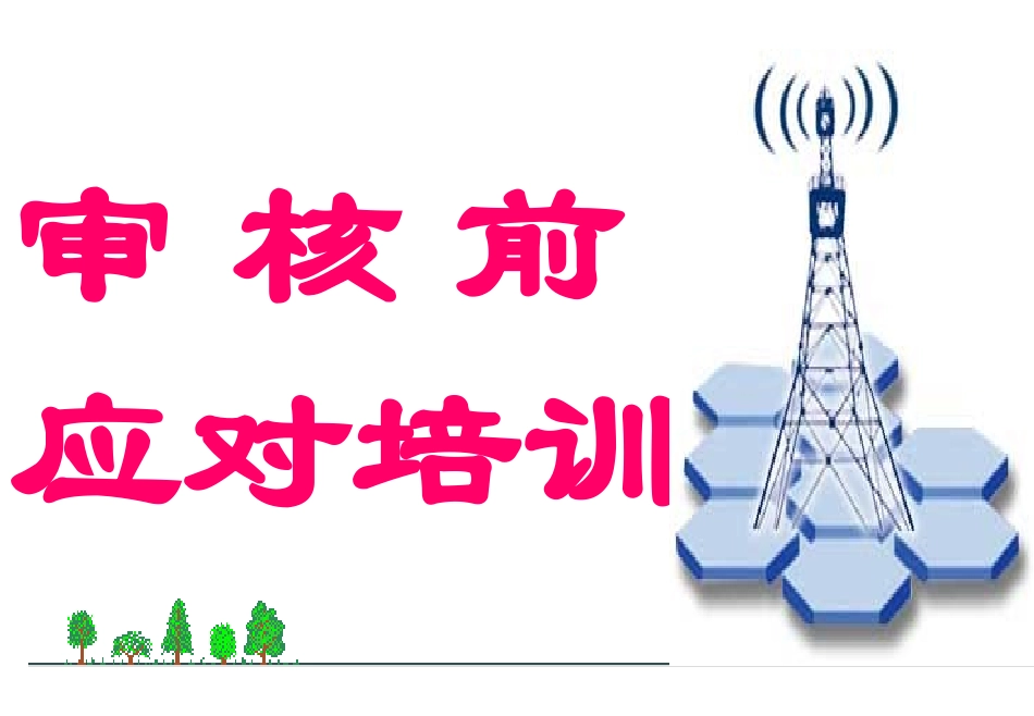 审核前的培训_第1页
