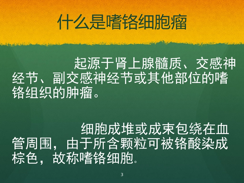肾上腺嗜铬细胞瘤_第3页